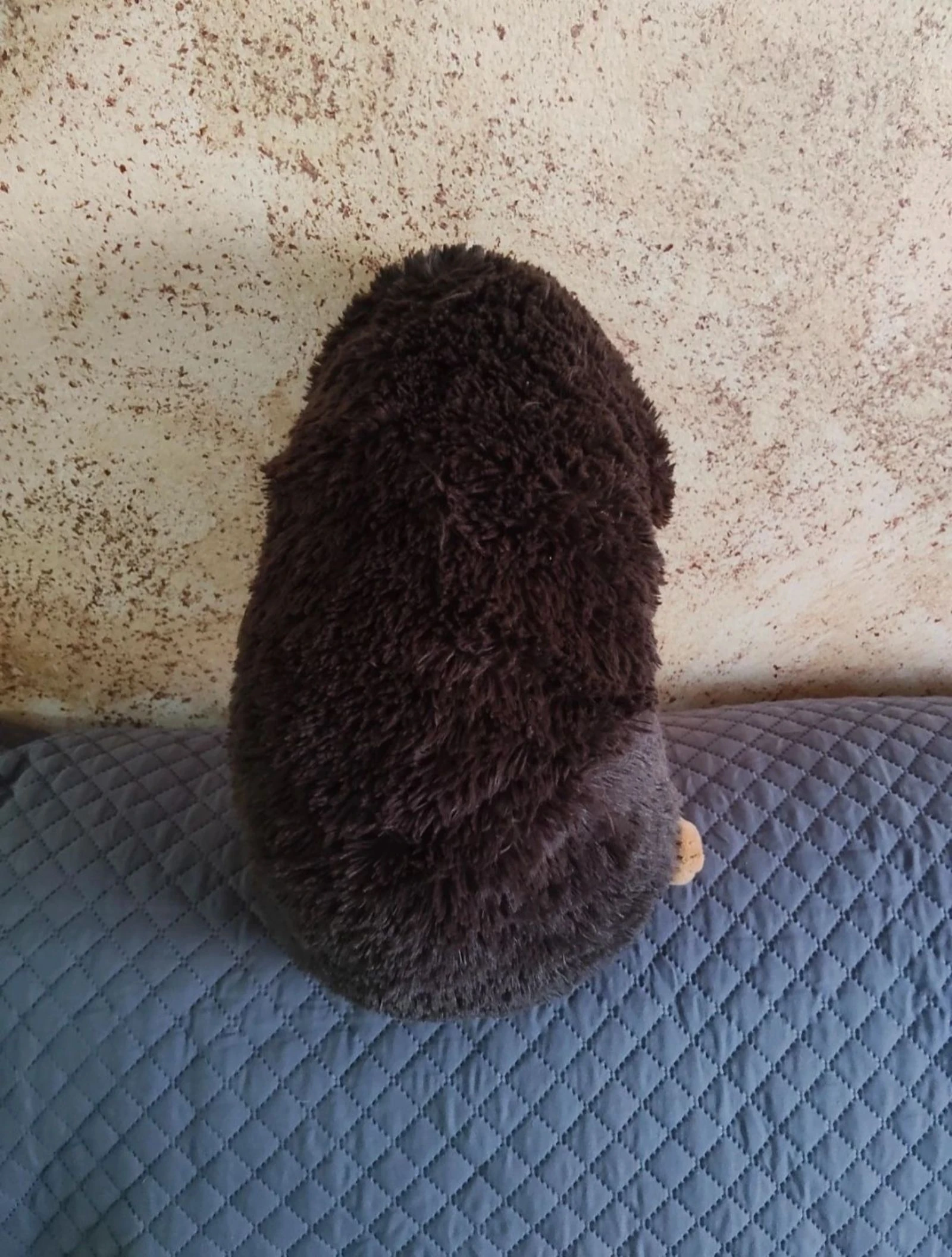 Peluche Erizo – photo 2